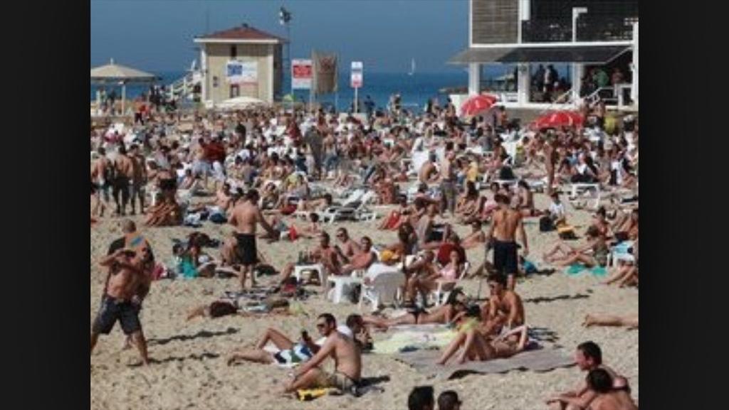Hacarmel Apartment Tel Aviv Værelse billede